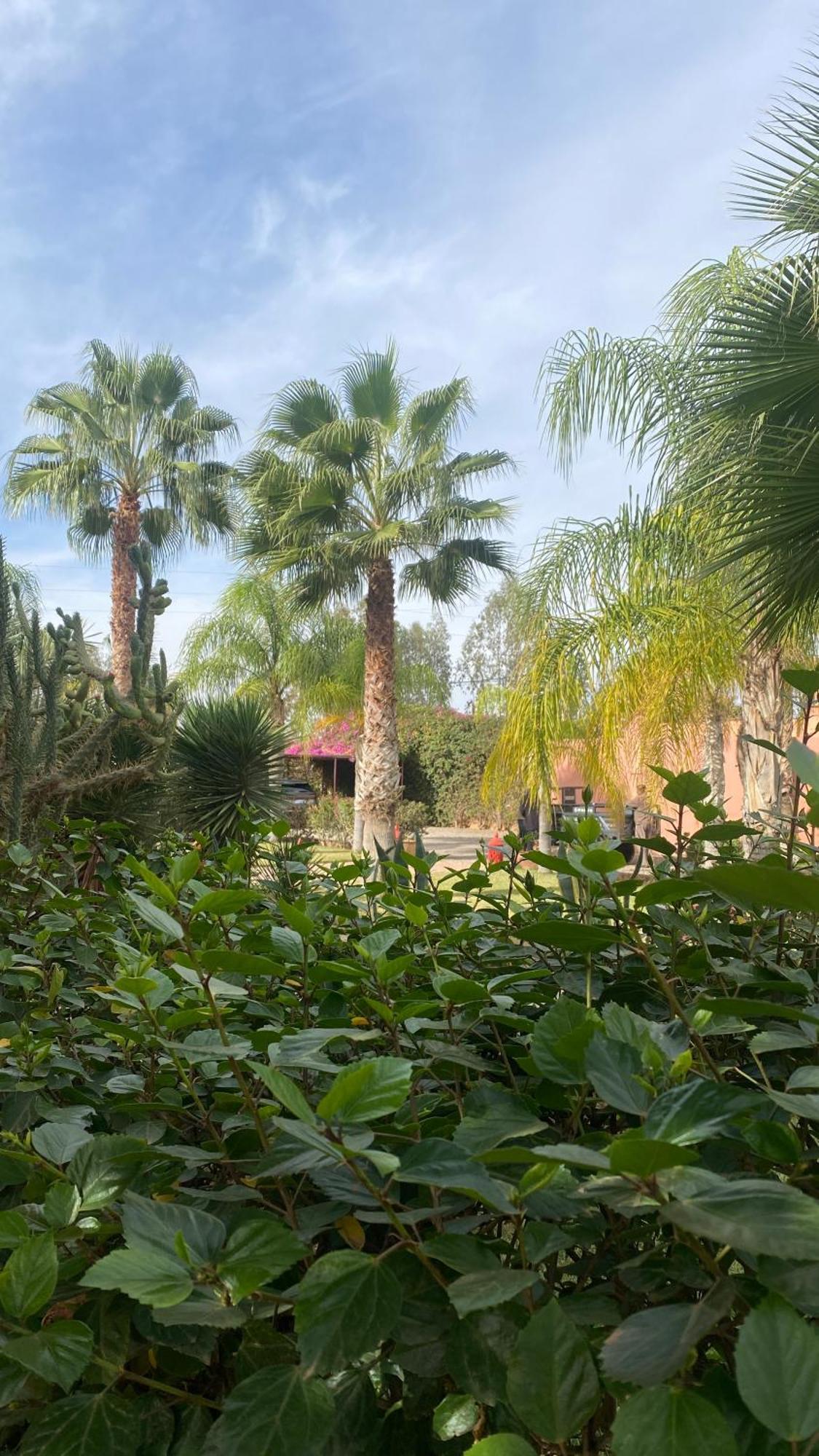Hotel Le Rubis Oriental Marrakech Azib Oulad Lâdem Esterno foto